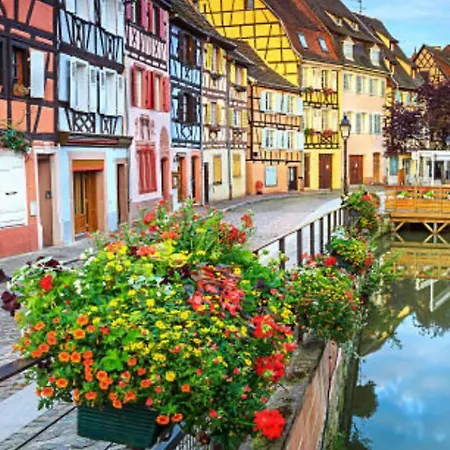Apartment L'alicien - Grand Studio - Neuf - Terrasse Et Parking Gratuit - Colmar, Quartier Des Maraichers *